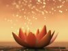 Exploring the Essence: What Does Spirituality Mean in the Modern World?