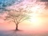 The Science of Spirituality: How Belief Systems Impact Mental and Physical Health