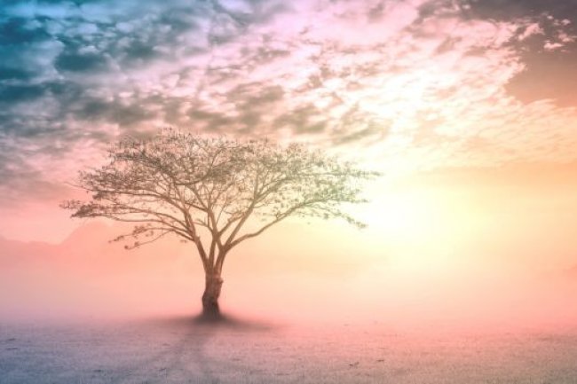 The Science of Spirituality: How Belief Systems Impact Mental and Physical Health